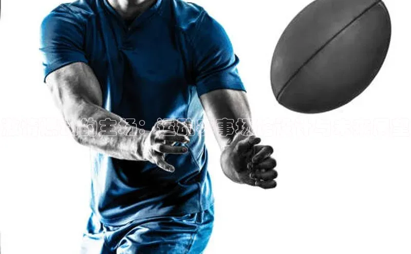 金年会app官方网